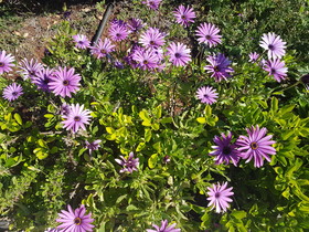 Akamas Health Farm & Spa