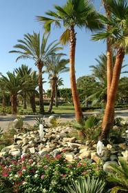 Palm Beach Hotel