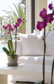 Sandy Beach Hotel & Spa