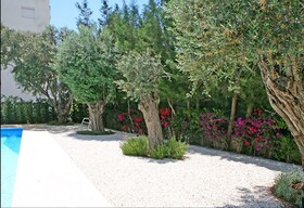 Corina Suites and Apartments