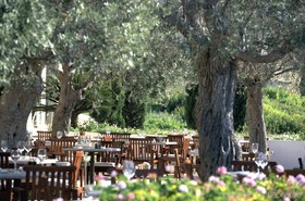 Anassa
