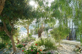 Peyia Pearl by Panoramic Holidays