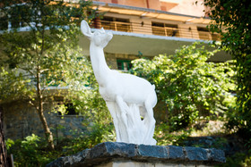 Forest Park Hotel