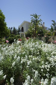 Constantinos Villa