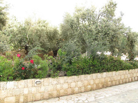 Knossos Villa by Webooking