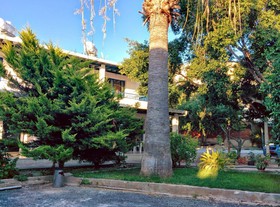 Zoe's Court