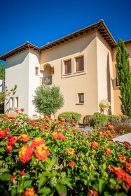Aphrodite Hills Rentals - Apartments