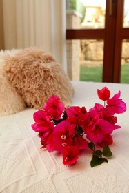 Aphrodite Hills Rentals - The Mythos Villa Collection