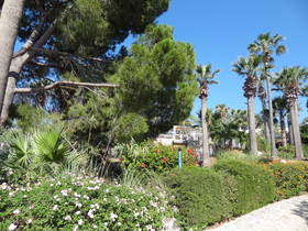 Latchi Family Resort