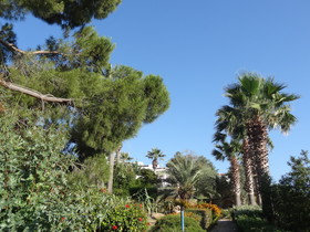 Latchi Family Resort