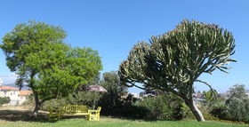 Latchi Family Resort