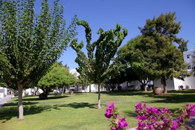 Aliathon Resort