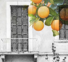 Casa Mespilea