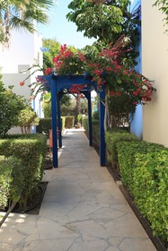 Eleni Holiday Resort