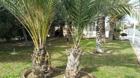 King's Holiday Apartments