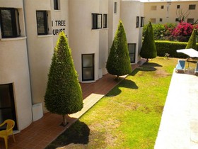 Lefki Tree Tourist Apartments