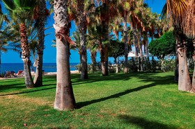 Louis Phaethon Beach