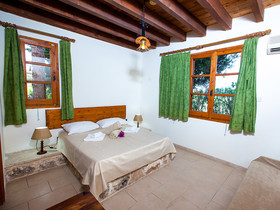 Olive Grove 3 Villa