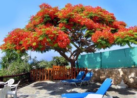 Rododafni Beach Apartments