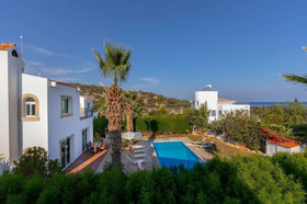 Villa Chrysanthemum