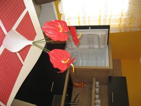 Apartment Sejko