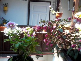 Pension Galant