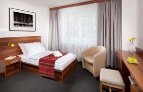 Wellness Hotel Frymburk