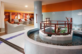 Wellness Hotel Frymburk