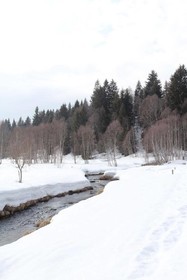 Hotel Šumava Inn