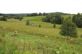 Hotel Šumava Inn