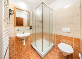 Hotel u Martina - Kocábka