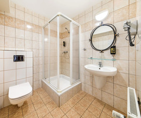 Hotel u Martina - Kocábka