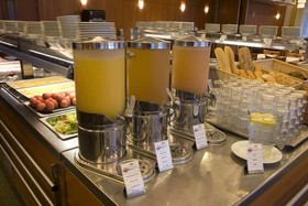 Hotel Srni