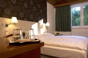Hotel Srni