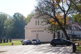 Olivuv Pivovar
