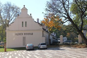 Olivuv Pivovar