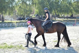 Dvur Pecinov
