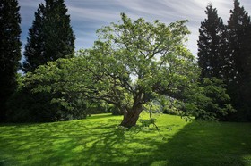 Chateau Loucen Garden Retreat