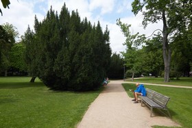 Penzion Alfa Podebrady