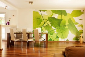 Villa Element