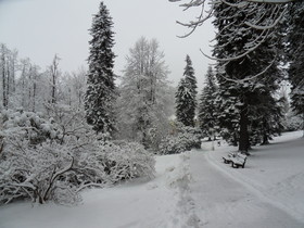 Spa Resort Libverda - Villa Friedland