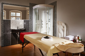 Spa Resort Libverda - Villa Friedland