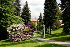 Spa Resort Libverda - Hotel Nový Dum