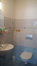 Apartment Nedrik