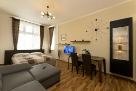 Apartment Karla Capka Street