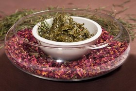 Spa & Wellness Hotel Olympia