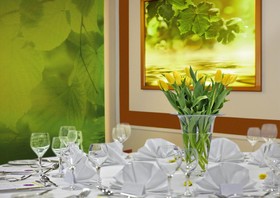 Spa & Wellness Hotel Olympia