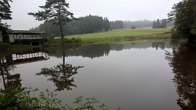 U Kolobezky Apartment