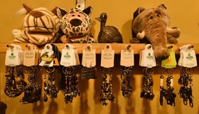 Cheetah Holiday Club