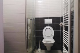 Bambus Zahrada